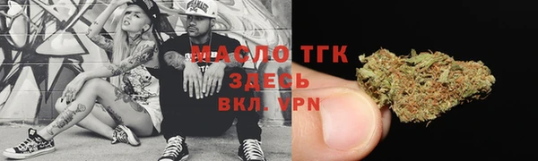гидропоника Алзамай