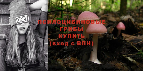 гидропоника Алзамай