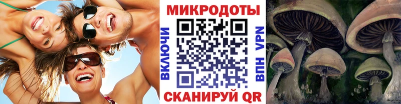 купить   Кыштым  Псилоцибиновые грибы мухоморы 